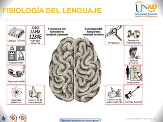 “Educación para todos con calidad global”
FI-GQ-OCMC-004-015 V. 000-27-08-2011
FISIOLOGÍA DEL LENGUAJE
 