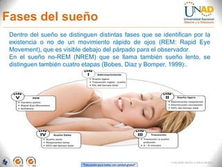 “Educación para todos con calidad global”
FI-GQ-OCMC-004-015 V. 000-27-08-2011
Fases del sueño
Dentro del sueño se distinguen distintas fases que se identifican por la
existencia o no de un movimiento rápido de ojos (REM: Rapid Eye
Movement), que es visible debajo del párpado para el observador.
En el sueño no-REM (NREM) que se llama también sueño lento, se
distinguen también cuatro etapas (Bobes, Diaz y Bomper, 1999):.
 