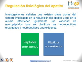 “Educación para todos con calidad global”
FI-GQ-OCMC-004-015 V. 000-27-08-2011
Regulación fisiológica del apetito
Investigaciones señalan que existen otras zonas del
cerebro implicadas en la regulación del apetito y que en la
misma intervienen igualmente una variedad de
neuropéptidos que se clasifican en neuropéptidos
orexígenos y neuropéptidos anorexígenos.
Péptidos
orexígenos
Péptidos
anoréxigenos
 