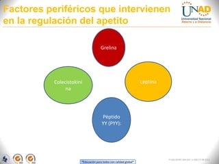 “Educación para todos con calidad global”
FI-GQ-OCMC-004-015 V. 000-27-08-2011
Factores periféricos que intervienen
en la regulación del apetito
Grelina
Colecistokini
na
Péptido
YY (PYY):
Leptina
 