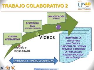 “Educación para todos con calidad global”
TRABAJO COLABORATIVO 2
Modulo y
Biblio UNAD
Videos
APRENDIZAJE Y TRABAJO COLABORATIVO
 