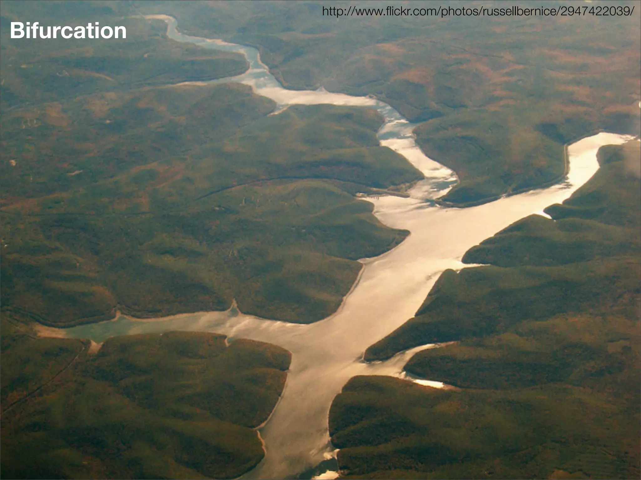 http://www.ﬂickr.com/photos/russellbernice/2947422039/
Bifurcation
 
