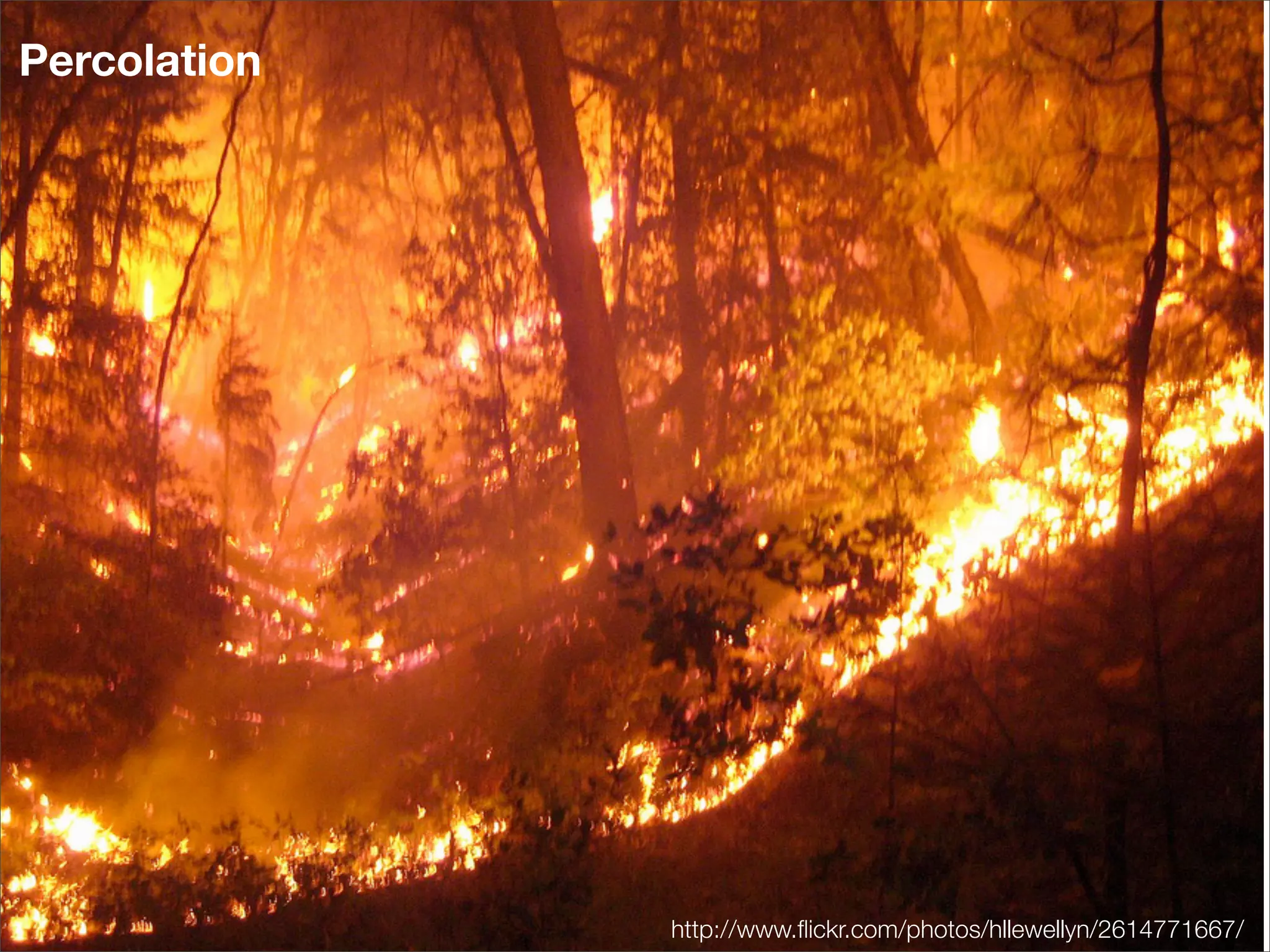 Percolation




              http://www.ﬂickr.com/photos/hllewellyn/2614771667/
 