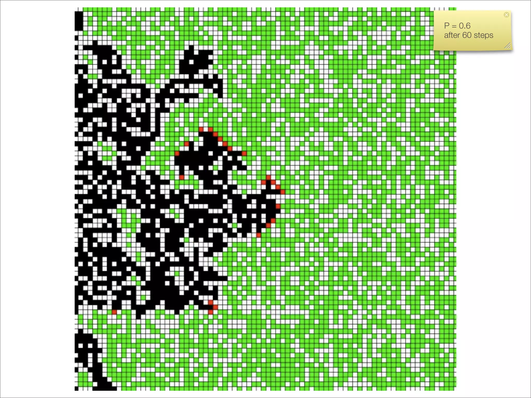 P = 0.6
after 60 steps
 