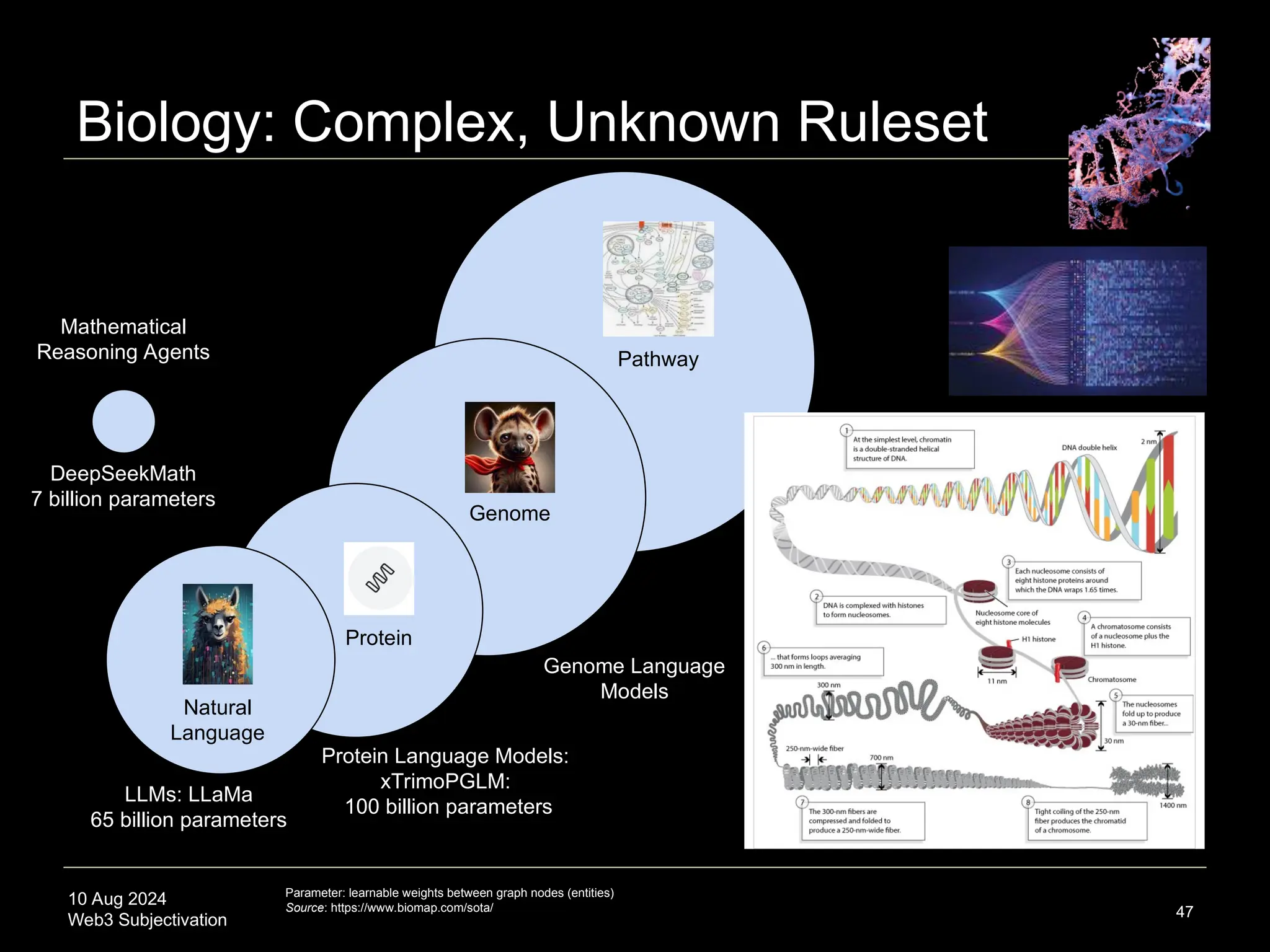 10 Aug 2024
Web3 Subjectivation
Biology: Complex, Unknown Ruleset
47
Pathway
Genome
Protein
Natural
Language
LLMs: LLaMa
65 billion parameters
Protein Language Models:
xTrimoPGLM:
100 billion parameters
Genome Language
Models
Parameter: learnable weights between graph nodes (entities)
Source: https://www.biomap.com/sota/
DeepSeekMath
7 billion parameters
Mathematical
Reasoning Agents
 