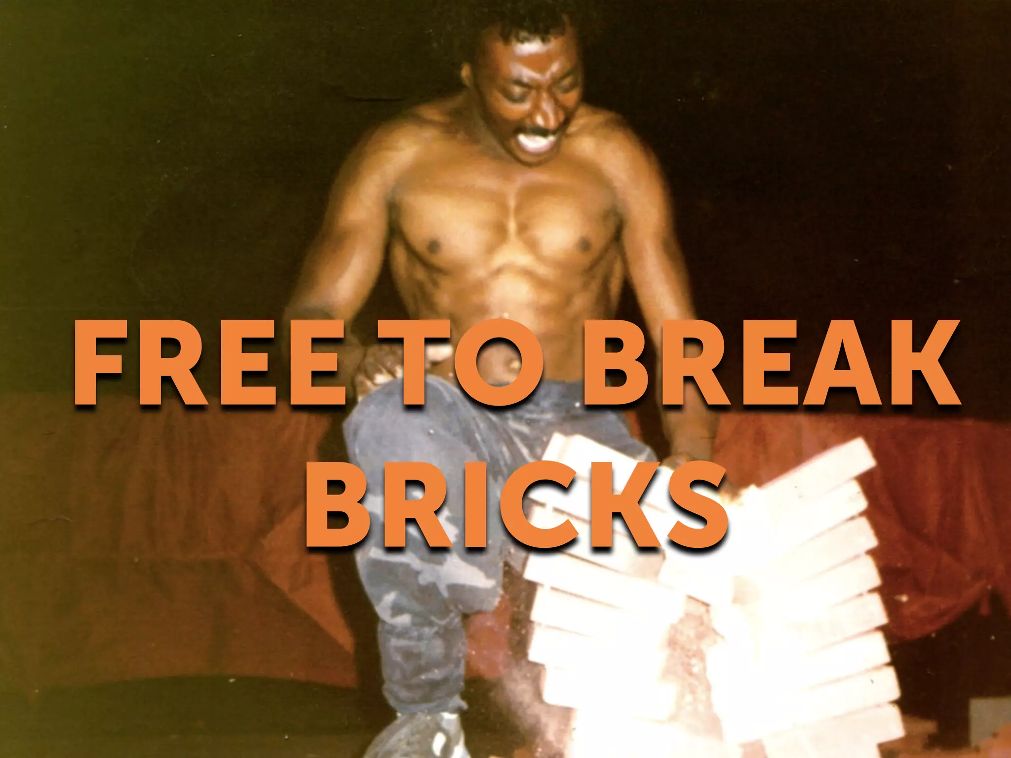 FREE TO BREAK
BRICKS