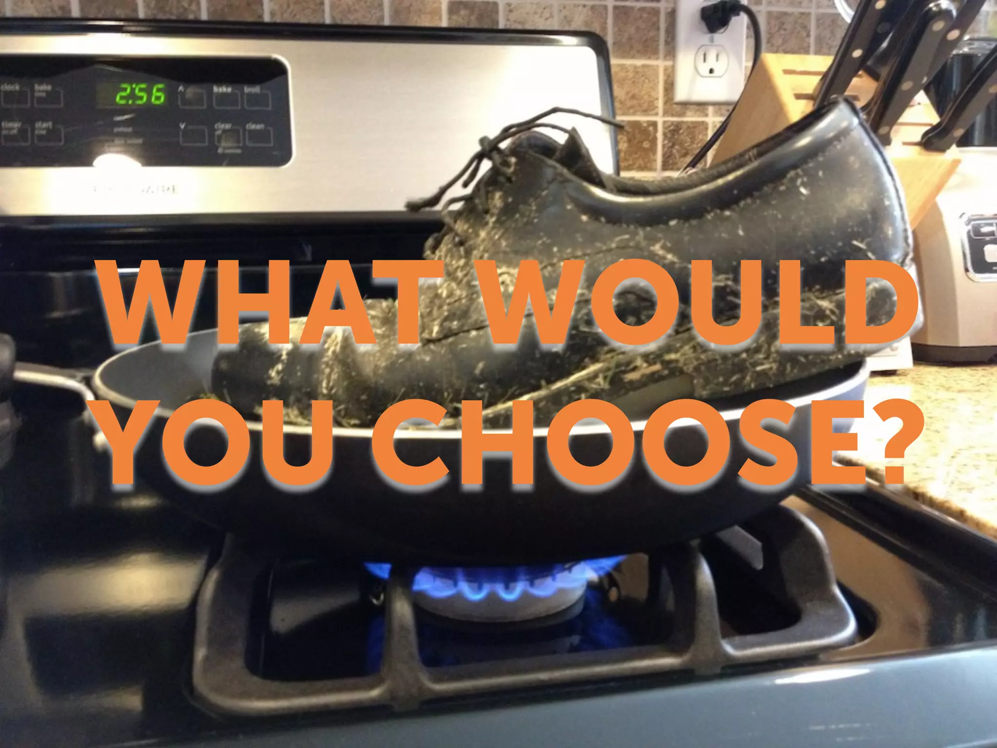 WHAT WOULD
YOU CHOOSE?