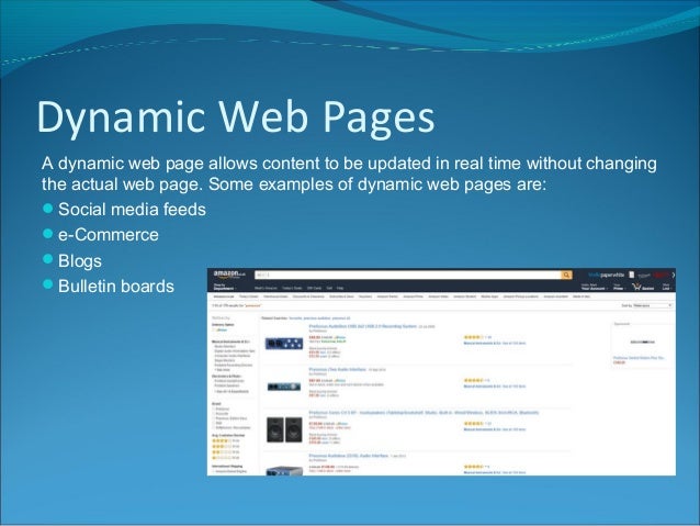 dynamic website examples
