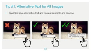 Tip #1: Alternative Text for All Images
• Graphics have alternative text and content is simple and concise
Dog
Adopt this dog who knows
how to play video games!
 