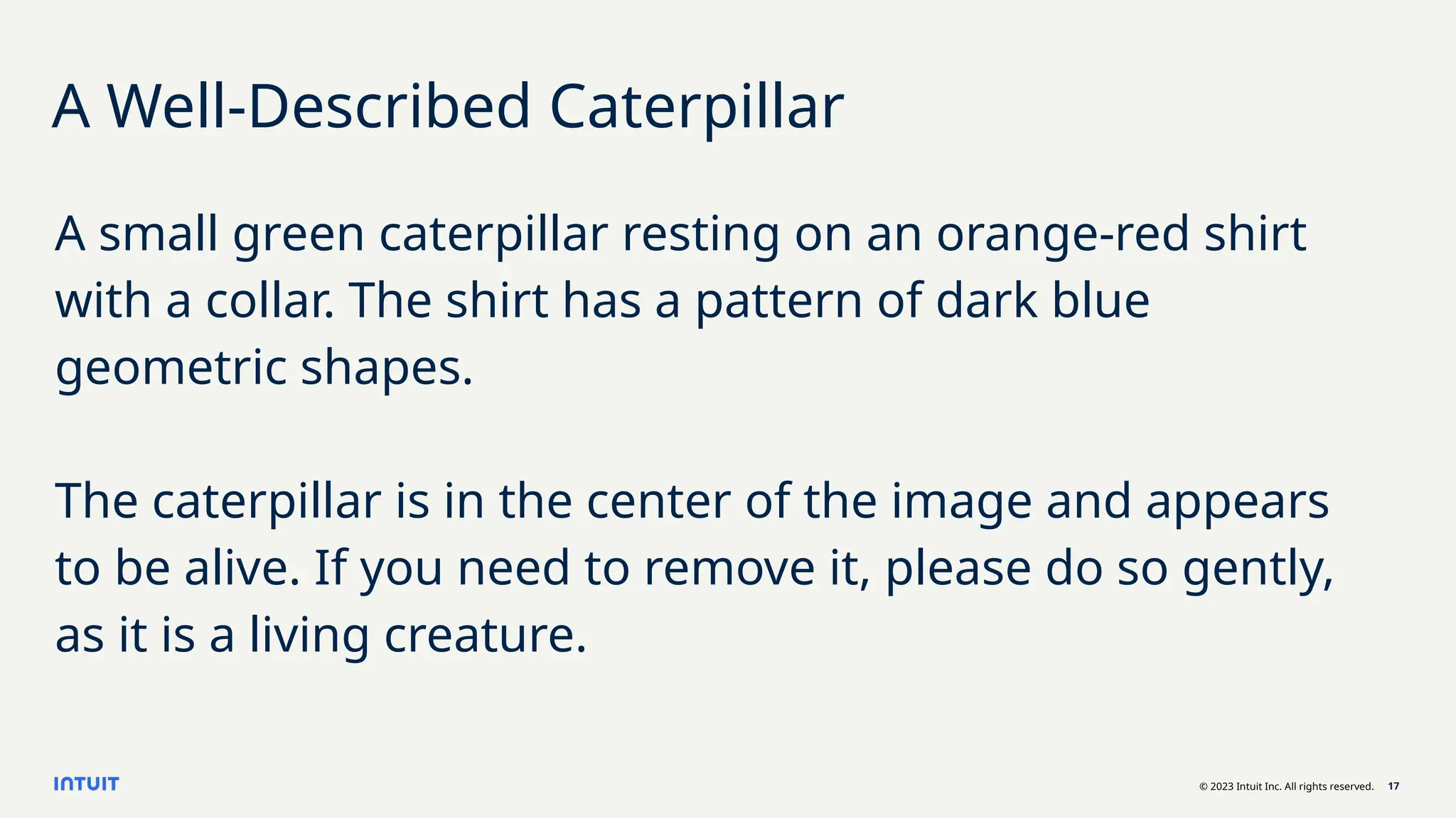 © 2023 Intuit Inc. All rights reserved. 17
A Well-Described Caterpillar
A small green caterpillar resting on an orange-red shirt
with a collar. The shirt has a pattern of dark blue
geometric shapes.
The caterpillar is in the center of the image and appears
to be alive. If you need to remove it, please do so gently,
as it is a living creature.
 