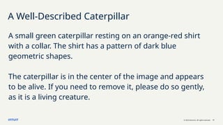 © 2023 Intuit Inc. All rights reserved. 17
A Well-Described Caterpillar
A small green caterpillar resting on an orange-red shirt
with a collar. The shirt has a pattern of dark blue
geometric shapes.
The caterpillar is in the center of the image and appears
to be alive. If you need to remove it, please do so gently,
as it is a living creature.
 