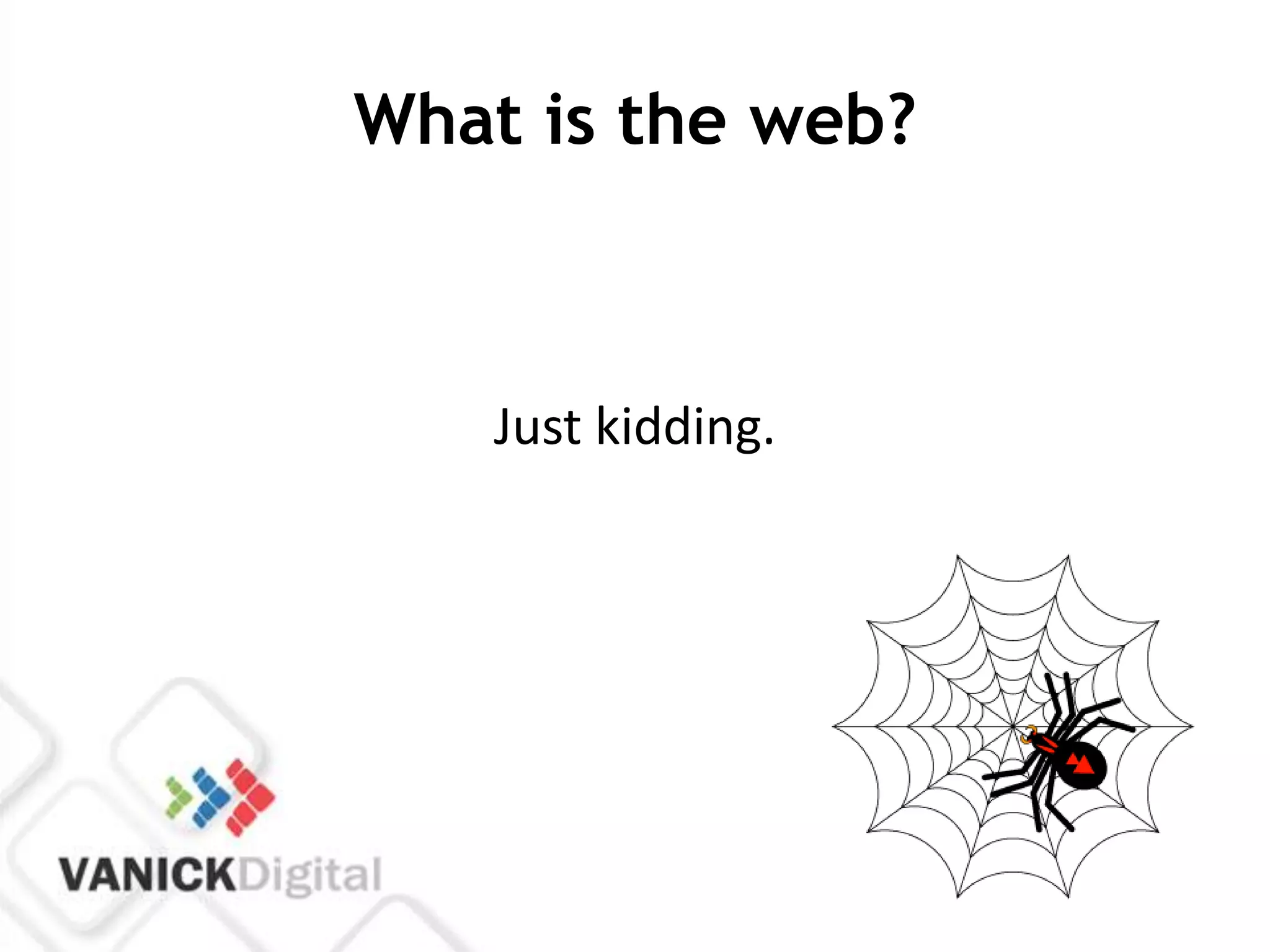 What is the web?



   Just kidding.
 