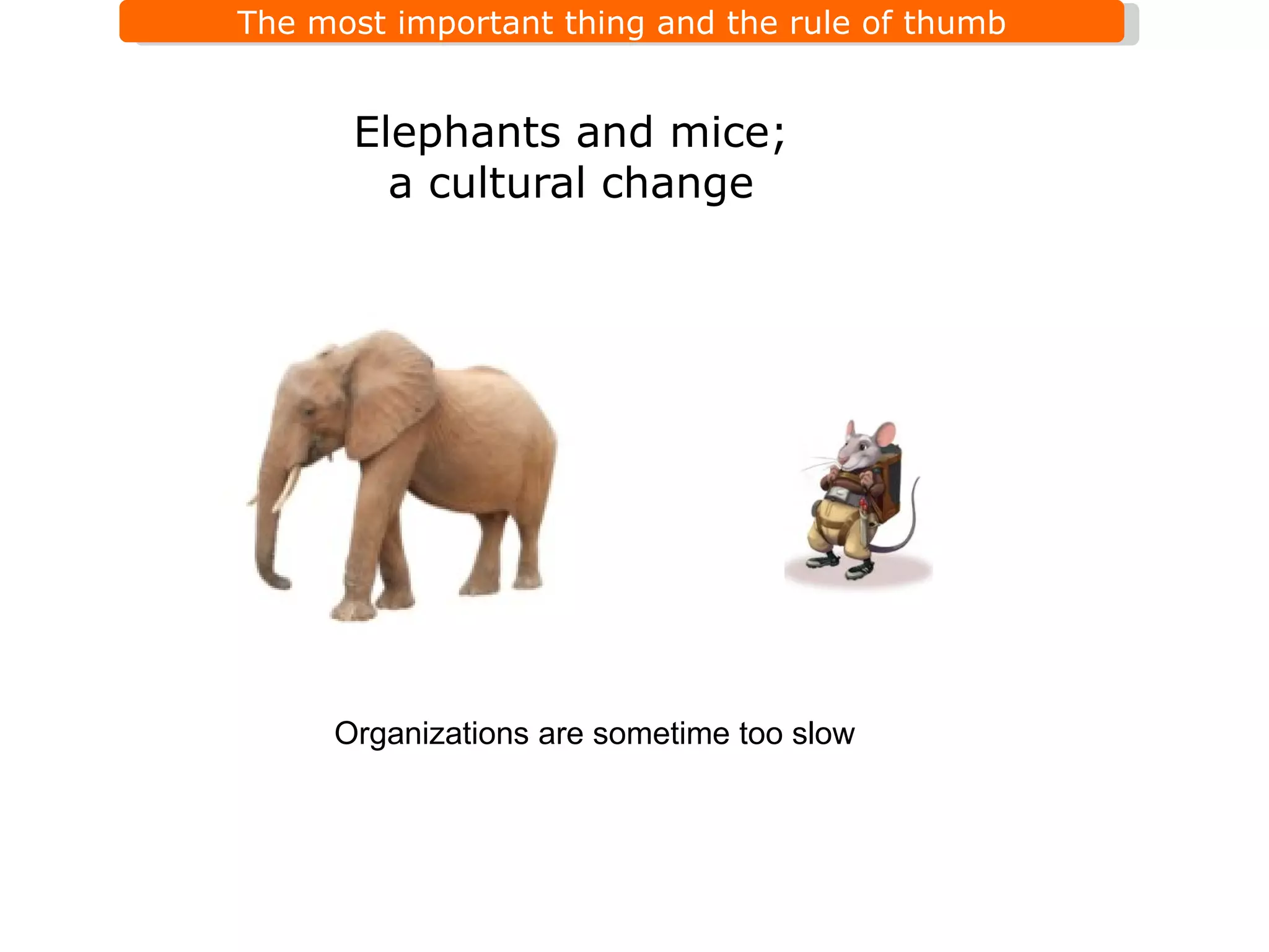 Elephants and mice; a cultural change Organizations are sometime too slow 