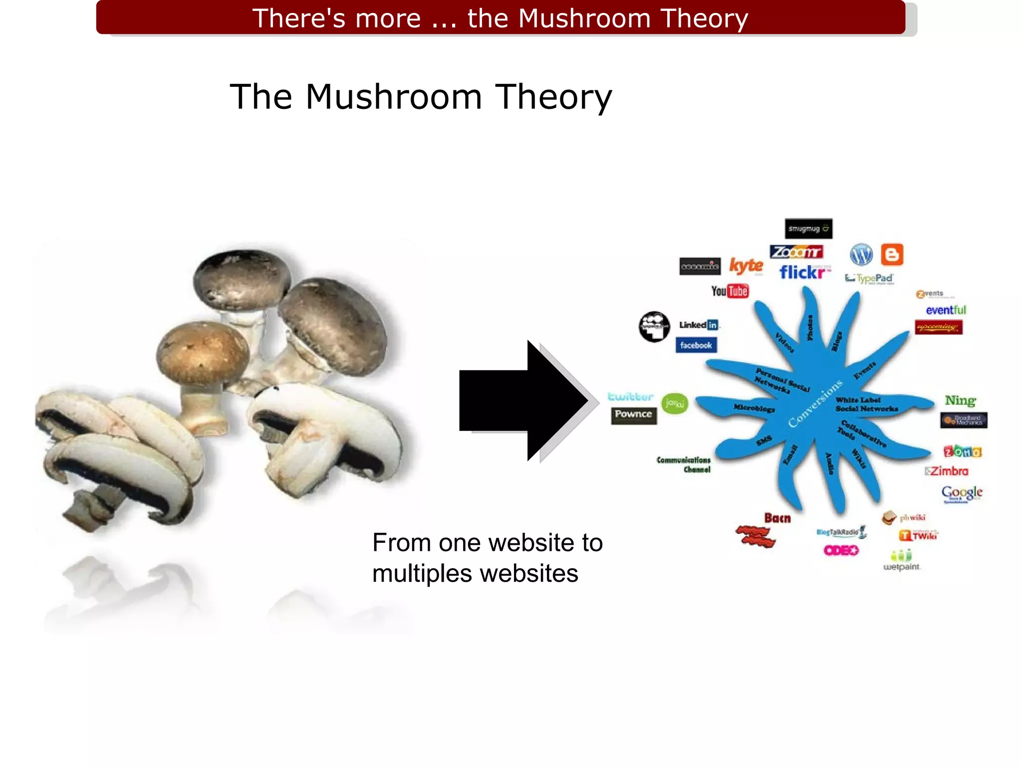 The Mushroom Theory From one website to multiples websites 