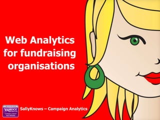 Web Analytics  for fundraising  organisations SallyKnows – Campaign Analytics 