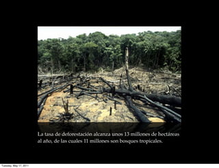La tasa de deforestación alcanza unos 13 millones de hectáreas
                        al año, de las cuales 11 millones son bosques tropicales.



Tuesday, May 17, 2011
 