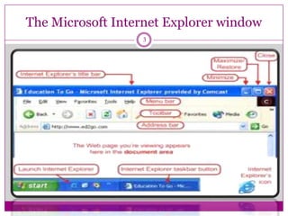 The Microsoft Internet Explorer window
3
 