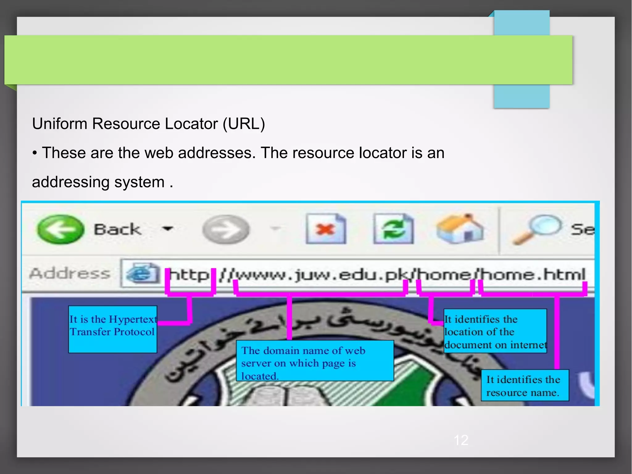 12 Uniform Resource Locator (URL) • These are the web addresses. The resource locator is an addressing system . 