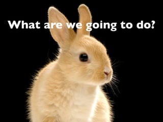 What are we going to do?
 