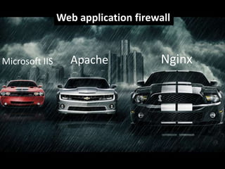 Web application firewall

Microsoft IIS

Apache

Nginx

 