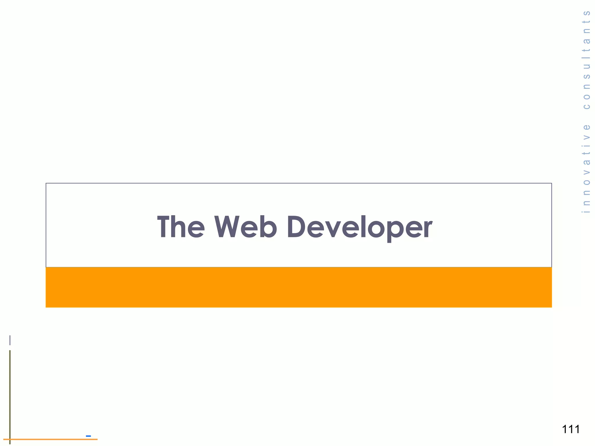 The Web Developer  