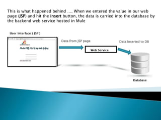 This is what happened behind …. When we entered the value in our web
page (JSP) and hit the insert button, the data is carried into the database by
the backend web service hosted in Mule
 