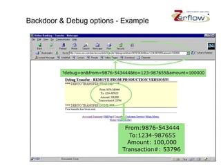Backdoor & Debug options - Example 