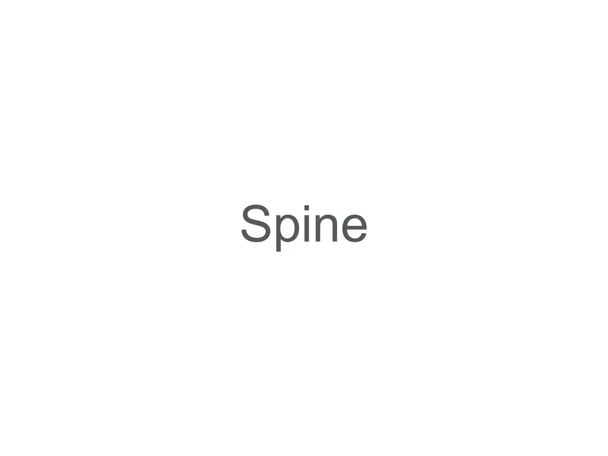 Spine 