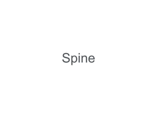 Spine
 