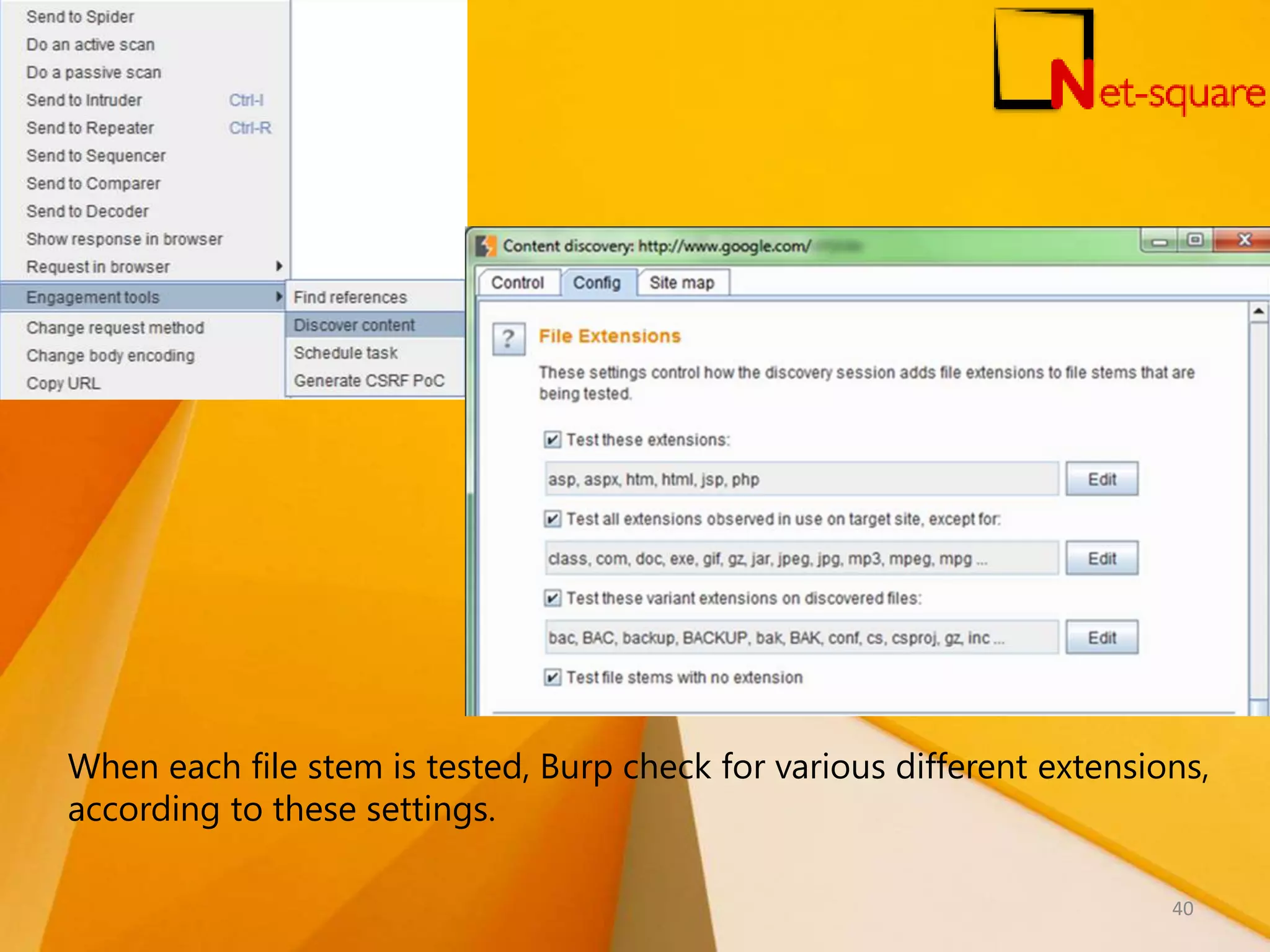 When each file stem is tested, Burp check for various different extensions, according to these settings. 40 