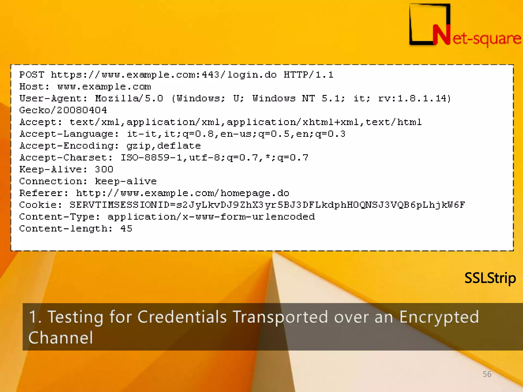 SSLStrip 56 