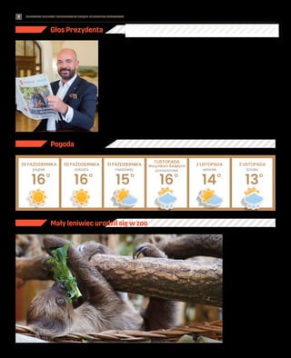BEZPŁATNY BIULETYN INFORMACYJNY URZĘDU MIEJSKIEGO WROCŁAWIA #WszystkichŚwiętych2021
2
Głos Prezydenta
Szanowni Państwo,
zakończyliśmy we Wrocławiu część po-
ważnych remontów sieci tramwajowej,
które wiązały się z pewnymi uciążliwo-
ściami. To ta dobra wiadomość. Wciąż
jednak kontynuujemy inwestycje dro-
gowe i te związane z rozbudową sieci
tramwajowej na Nowy Dwór.
Cieszę się z efektów każdego z prze-
prowadzanych remontów, zdając sobie
zarazem sprawę – sam jestem użytkow-
nikiem tak dróg, jak i komunikacji miej-
skiej – że zawsze wiążą się one z pew-
nymi trudnościami. Nie jest to pierwszy
w historii Wrocławia czas tak intensyw-
nych prac, wiem jednak, że ich efekty
szybko pomogą nam zapomnieć o cza-
sowych niedogodnościach. Podobnie
cieszę się z docenienia Wrocławia w ra-
porcie związanym z lokowaniem w re-
gionie międzynarodowych inwestycji.
Z racji obowiązków, które powierzyli mi
Państwo, spotykam się z ambasadorami
innych krajów czy prezesami międzyna-
rodowych korporacji. Mówiąc o naszym
mieście, powtarzają, że to atmosfera
życia stworzona przez mieszkańców,
optymistycznych, otwartych, a zarazem
dumnych ze swojego miasta sprawia, że
chcą kolejne inwestycje lokować właśnie
tutaj, a swoich znajomych zachęcają do
odwiedzenia Wrocławia.
Pozwólcie Państwo, że na koniec po-
wtórzę jeszcze jeden apel, myślą zbli-
żając się już bardziej do świąt Bożego
Narodzenia. Myślę, że stęskniliśmy
się za towarzyszącą im bliskością, tak
w rodzinnych domach, jak i – po prostu
– wśród przyjaciół i znajomych. Wielu
z Państwa dopytywało choćby o jarmark
bożonarodzeniowy, który w ubiegłym
roku, z powodu pandemii, nie mógł
odbyć się w naszym mieście. Mam na-
dzieję, że w tym roku nic nie zakłóci jego
funkcjonowania, ale to w dużej mierze
zależy od naszej odpowiedzialności.
Sam, jak Państwo wiecie, poddałem się
szczepieniu i skorzystam także z trze-
ciej „przypominającej” dawki. Państwo
z pewnością też już się zaszczepili, ale
raz jeszcze proszę tą drogą, przeko-
najcie tych, którzy jeszcze z jakichś
powodów zwlekają – to ważne dla nas
wszystkich i dla Wrocławia.
16
16
15
16
14
13
środa
29 PAŹDZIERNIKA 30 PAŹDZIERNIKA 31 PAŹDZIERNIKA
1 LISTOPADA
Wszystkich Świętych 2 LISTOPADA 3 LISTOPADA
sobota niedziela poniedziałek wtorek
piątek
Pogoda
ZOO
Jacek Sutryk
prezydent Wrocławia
TOMASZ
HOŁOD
Mały leniwiec urodził się w zoo
Leniwcowa rodzina z wrocław-
skiego zoo powiększyła się – Celi-
na i Apollo doczekali się syna. Choć
maluch urodził się 15.09, dopiero
teraz udało się ustalić jego płeć.
– Mały leniwiec okazał się bar-
dzo szczwany. Nie dał się podejść
i obejrzeć z bliska, a nie chcieliśmy
go łapać, aby nie stresować jego
i rodziców. Jednak udało nam się
pozyskać kilka włosów i oddaliśmy
je do badania. Wynik pokazał, że to
chłopak – mówi Bartek Siemież,
opiekun tych zwierząt w zoo. Jak
będzie się nazywał mały leniwiec?
Zoo ogłosiło na swoim Facebo-
oku konkurs. Do 24.10 można było
zgłaszać propozycje imienia. Spo-
śród ponad 920 wybrano cztery,
które zdaniem opiekunów najbar-
dziej pasują do szkraba: Rapido
(znaczy szybki), Lejzi (leniwy),
Grogu (tzw. baby yoda) i Linos (syn
Apolla). Wybrać ulubione można do
29.10 na profilu ZOO Wrocław.
 
