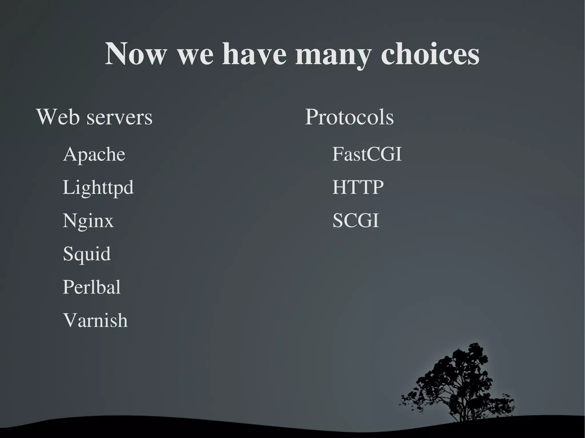 mod_perl became the way to run Perl 