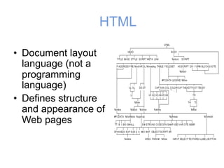 HTML
• Document layout
language (not a
programming
language)
• Defines structure
and appearance of
Web pages
 