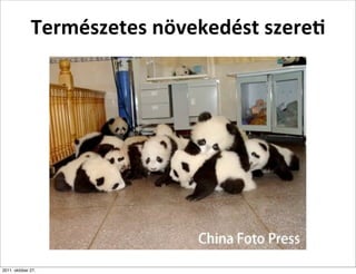 Természetes	
  növekedést	
  szere]




2011. október 27.
 