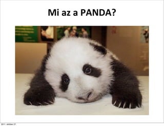 Mi	
  az	
  a	
  PANDA?




2011. október 27.
 