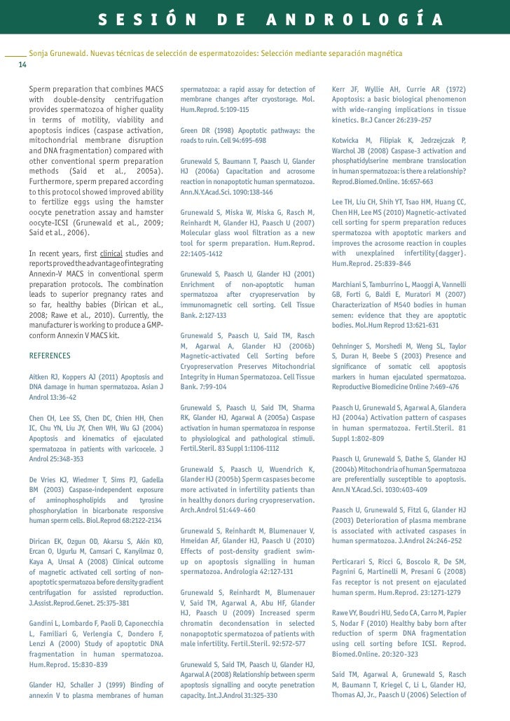 Web Asebir Dic11