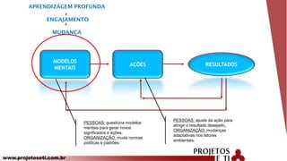 www.projetoseti.com.br
MODELOS
MENTAIS
AÇÕES RESULTADOS
APRENDIZAGEM PROFUNDA
ENGAJAMENTO
MUDANÇA
PESSOAS: questiona modelos
mentais para gerar novos
significados e ações.
ORGANIZAÇÃO: muda normas
políticas e padrões.
PESSOAS: ajuste da ação para
atingir o resultado desejado.
ORGANIZAÇÃO: mudanças
adaptativas nos fatores
ambientais.
 