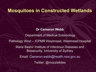 Mosquitoes in Constructed Wetlands 
Dr Cameron Webb 
Department of Medical Entomology 
Pathology West – ICPMR Westmead, Westmead Hospital 
Marie Bashir Institute of Infectious Diseases and 
Biosecurity, University of Sydney 
Email: Cameron.webb@health.nsw.gov.au 
Twitter: @mozziebites 
 