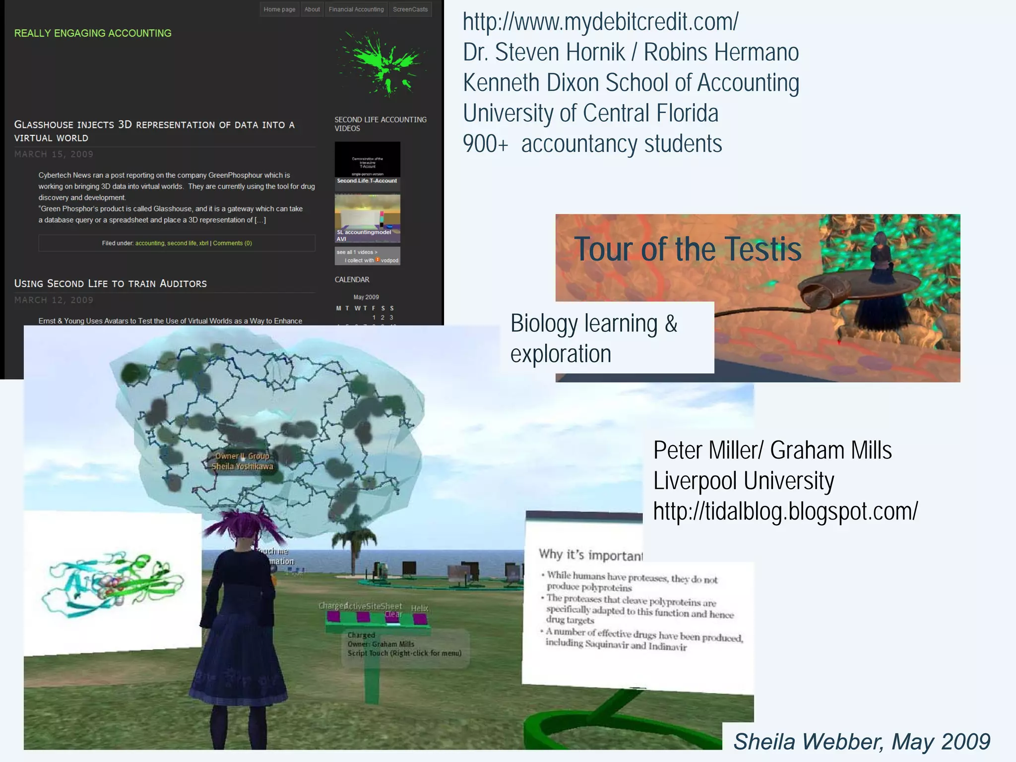 Collaborating in Second Life