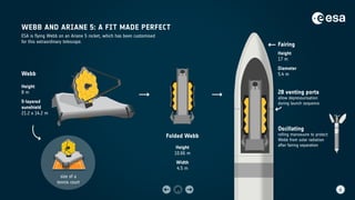 WEBB AND ARIANE 5: A FIT MADE PERFECT
28 venting ports
allow depressurisation
during launch sequence
Oscillating
rolling manoeuvre to protect
Webb from solar radiation
after fairing separation
Fairing
Height
17 m
Diameter
5.4 m
Webb
Height
8 m
5-layered
sunshield
21.2 x 14.2 m
Folded Webb
Height
10.66 m
Width
4.5 m
ESA is flying Webb on an Ariane 5 rocket, which has been customised
for this extraordinary telescope.
size of a
tennis court
 
