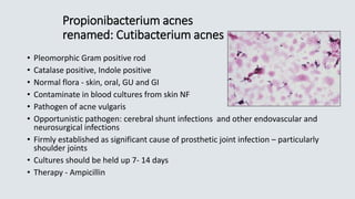Propionibacterium acnes
renamed: Cutibacterium acnes
• Pleomorphic Gram positive rod
• Catalase positive, Indole positive
• Normal flora - skin, oral, GU and GI
• Contaminate in blood cultures from skin NF
• Pathogen of acne vulgaris
• Opportunistic pathogen: cerebral shunt infections and other endovascular and
neurosurgical infections
• Firmly established as significant cause of prosthetic joint infection – particularly
shoulder joints
• Cultures should be held up 7- 14 days
• Therapy - Ampicillin
 