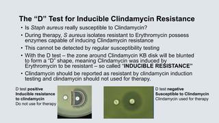 The “D” Test for Inducible Clindamycin Resistance
• Is Staph aureus really susceptible to Clindamycin?
• During therapy, S aureus isolates resistant to Erythromycin possess
enzymes capable of inducing Clindamycin resistance
• This cannot be detected by regular susceptibility testing
• With the D test – the zone around Clindamycin KB disk will be blunted
to form a “D” shape, meaning Clindamycin was induced by
Erythromycin to be resistant – so called “INDUCIBLE RESISTANCE”
• Clindamycin should be reported as resistant by clindamycin induction
testing and clindamycin should not used for therapy.
D test positive
Inducible resistance
to clindamycin
Do not use for therapy
D test negative
Susceptible to Clindamycin
Clindamycin used for therapy
 
