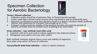 Specimen Collection
for Aerobic Bacteriology
Throat / Wound collection
1. Collection swabs should be of polyester fiber or flocked (prickly sponge)
2. Cotton swab fibers should not be used for they trap bacteria and are potentially toxic
3. Specimen is collected on swab then placed in Stuart’s or Amie’s transport media (buffered
solution with peptones) for transport and storage up to 72 hrs.
4. Transport media preserves viability of the bacteria but does not promote growth of
bacteria, provides stasis of numbers prior to plating onto solid media
Urine collection – two methods most often used
1. Container with boric acid used to induce organisms into stationary phase
2. Refrigerate urine within one hour after collect
Both methods maintain original colony count and viability of organisms
Must plate urine within 24 hours of collection
Tissues/Sterile body fluid collection – collect in sterile container
 