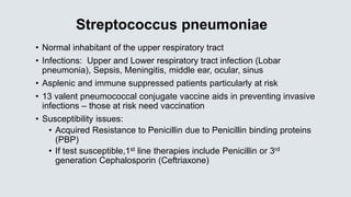 Streptococcus pneumoniae
• Normal inhabitant of the upper respiratory tract
• Infections: Upper and Lower respiratory tract infection (Lobar
pneumonia), Sepsis, Meningitis, middle ear, ocular, sinus
• Asplenic and immune suppressed patients particularly at risk
• 13 valent pneumococcal conjugate vaccine aids in preventing invasive
infections – those at risk need vaccination
• Susceptibility issues:
• Acquired Resistance to Penicillin due to Penicillin binding proteins
(PBP)
• If test susceptible,1st line therapies include Penicillin or 3rd
generation Cephalosporin (Ceftriaxone)
 