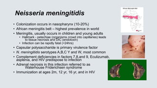 Neisseria meningitidis
• Colonization occurs in nasopharynx (10-20%)
• African meningitis belt – highest prevalence in world
• Meningitis, usually occurs in children and young adults
• Hallmark - petechiae (organisms crowd into capillaries) leads
to tissue necrosis and DIC (endotoxin)
• Infection can be rapidly fatal (<24hrs)
• Capsular polysaccharide is primary virulence factor
• N. meningitidis serotypes A,B,C Y and W, most common
• Complement deficiencies in factors 7,8,and 9, Eculizumab,
asplenia, and HIV predispose to infection
• Adrenal necrosis in this infection referred to as
Waterhouse Friderichsen syndrome
• Immunization at ages 2m, 12 yr, 16 yr, and in HIV
 