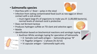 • Salmonella species
• Diarrhea with +/- fever – polys in the stool
• Infection from eating contaminated food (such as raw eggs) or direct
contact with a sick animal
– must ingest large #’s of organisms to make you ill (1,00,000 bacteria),
normal levels of stomach acid is protective
• Does not ferment lactose
• Produces hydrogen sulfide on TSI slant and selective agars
• Motile
• Identification based on biochemical reactions and serologic typing
• Kaufman White serologic typing for speciation of Salmonella
• O Somatic (cell wall) antigen – Salmonella group “B”
• H flagellar antigens – 2 phases [h1 & h2]
• Vi capsular antigen – Salmonella typhi only
 