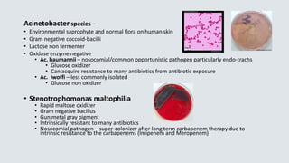 Acinetobacter species –
• Environmental saprophyte and normal flora on human skin
• Gram negative coccoid-bacilli
• Lactose non fermenter
• Oxidase enzyme negative
• Ac. baumannii – nosocomial/common opportunistic pathogen particularly endo-trachs
• Glucose oxidizer
• Can acquire resistance to many antibiotics from antibiotic exposure
• Ac. lwoffi – less commonly isolated
• Glucose non oxidizer
• Stenotrophomonas maltophilia
• Rapid maltose oxidizer
• Gram negative bacillus
• Gun metal gray pigment
• Intrinsically resistant to many antibiotics
• Nosocomial pathogen – super-colonizer after long term carbapenem therapy due to
intrinsic resistance to the carbapenems (Imipenem and Meropenem)
 