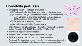 Bordetella pertussis
• Whooping cough – 3 stages of disease
(1) Prodromal – flu like disease – most contagious stage
(2) Catarrhal - cough - with classic whoop in small children
toxin adheres to bronchial epithelial cells and cough
continues until toxin wears off – can be months
(3) Paroxysmal - recovery phase
• Human pathogen - inhabits Nasopharynx
• With disease, peripheral blood - Lymphocytosis with atypical
large, irregular and deeply basophilic lymphocytes
• Tiny Gram negative coccobacillus
• Regan Lowe Charcoal agar / growth in 3-5 days
• PCR is now standard of practice / more sensitive
• Reservoir for infection – young adults due to waning immunity.
Reason behind initiative for booster shots in young adults
 
