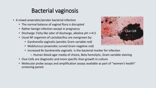 Bacterial vaginosis
• A mixed anaerobic/aerobic bacterial infection
• The normal balance of vaginal flora is disrupted
• Rather benign infection except in pregnancy
• Discharge: Fishy like odor of discharge, alkaline pH >=4.5
• Usual NF organism of Lactobacillus are overgrown by:
• Gardnerella vaginalis (aerobic Gram variable rod)
• Mobiluncus (anaerobic curved Gram negative rod)
• Increased #s Gardnerella vaginalis is the bacterial marker for infection
– Human blood agar media of choice, Beta hemolytic, Gram variable staining
• Clue Cells are diagnostic and more specific than growth in culture
• Molecular probe assays and amplification assays available as part of “women’s health”
screening panels
Clue Cell
 